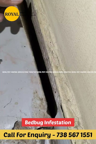 Royal Pest Control Pune