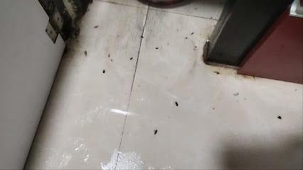 Royal Pest Control