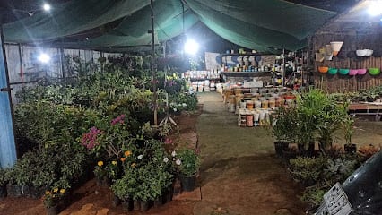Sai Nursery